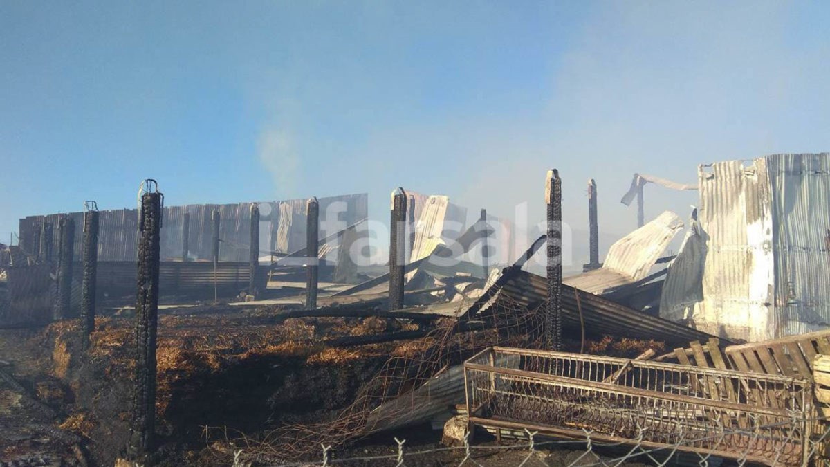 Φωτιά σε μαντρί στα Φάρσαλα – Κάηκαν ζώα – ΦΩΤΟ