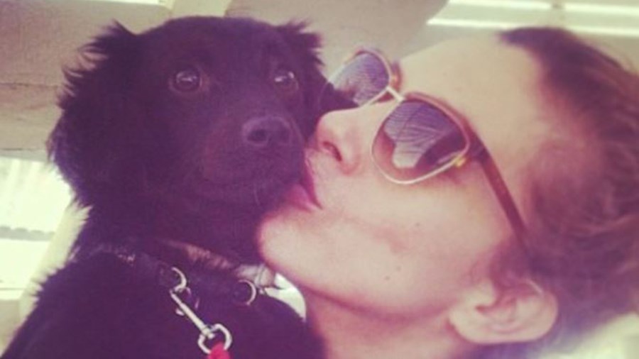 Έξαλλη η Σύλβια Δεληκούρα – Έριξαν φόλα στο σκυλάκι της