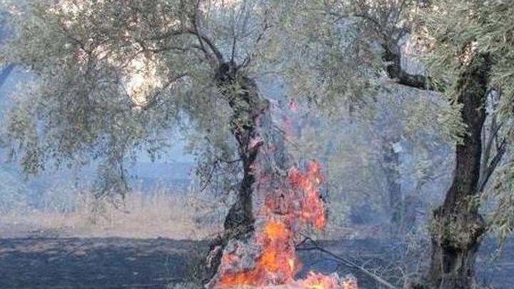 Στον εισαγγελέα ο &#8230;&#8221;μπουρλοτιέρης&#8221; των Σπάτων &#8211; Αυτοί είναι οι εμπρησμοί για τους οποίους κατηγορείται