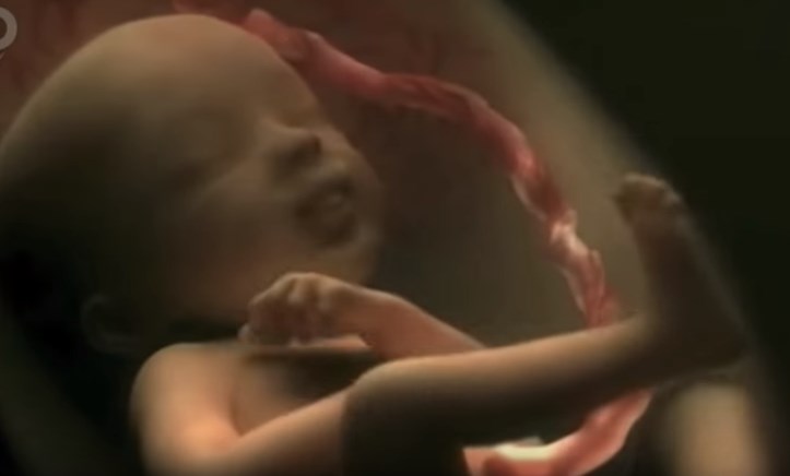 Το θαύμα της ζωής: 9 μήνες… μέσα σε 4 λεπτά – Εντυπωσιακό ΒΙΝΤΕΟ