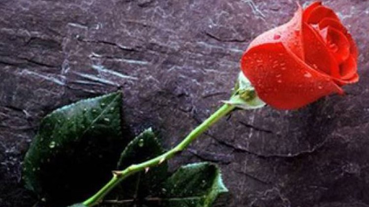 Το… βαθυστόχαστο μήνυμα γραφείου τελετών για την ημέρα των ερωτευμένων- ΦΩΤΟ