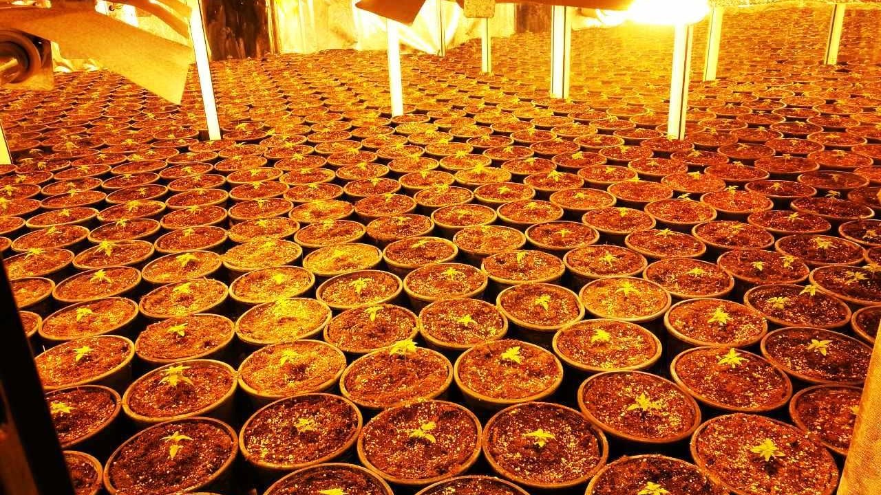 Η βίλα στο Λαγονήσι έβγαλε…λαγό – Τι βρήκαν οι αστυνομικοί – “Μπουμπούκι” ο 33χρονος που συνελήφθη