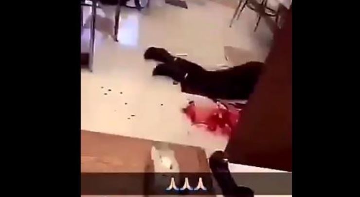 Προσοχή: Ανατριχιαστικό ΒΙΝΤΕΟ από τη σφαγή στην Φλόριντα – Πολύ σκληρές εικόνες