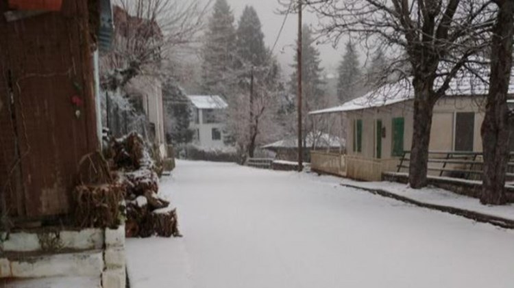 Στα λευκά “ντύθηκαν” περιοχές της Φθιώτιδας και της Ευρυτανίας – Πού χρειάζονται αλυσίδες – ΦΩΤΟ