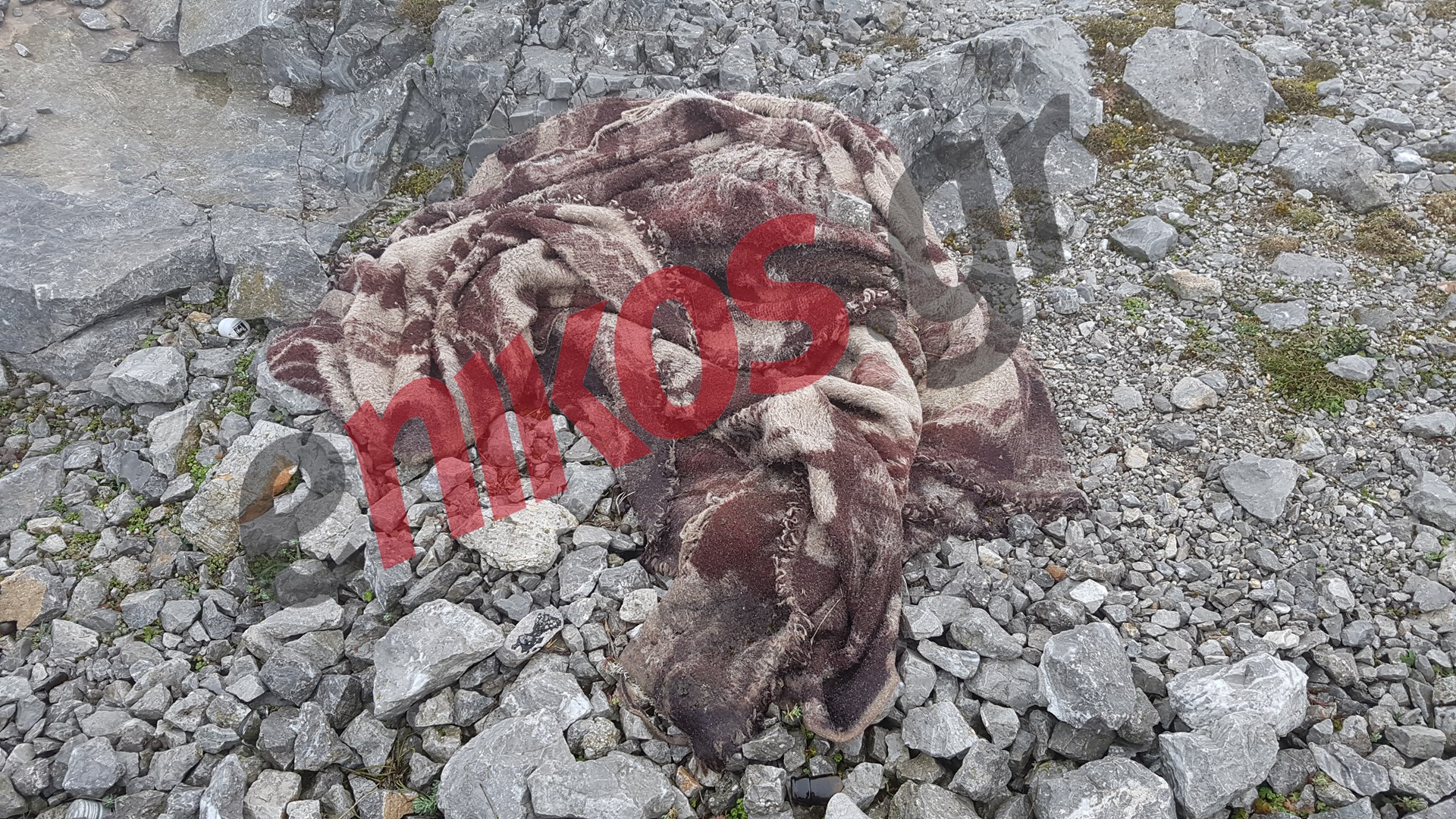 Μόνο στο enikos.gr: Ανατριχιαστικά ευρήματα στον Κιθαιρώνα – Σχετίζονται με την υπόθεση του Μάριου; – ΦΩΤΟ