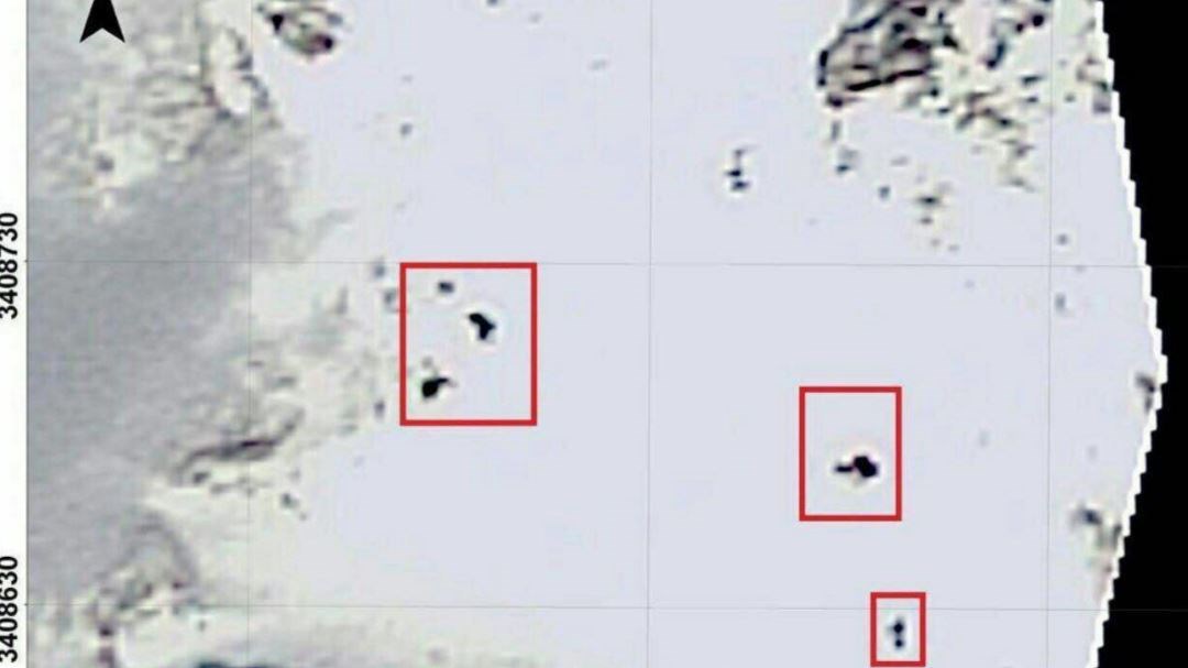 Οι πρώτες εικόνες από τα συντρίμμια του αεροσκάφους στο Ιράν – ΦΩΤΟ