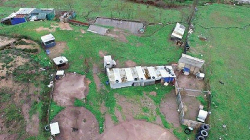 Φρίκη στην Κωνσταντινούπολη – Βίαζαν έφηβες υπό την απειλή όπλου σε φάρμα για χήνες