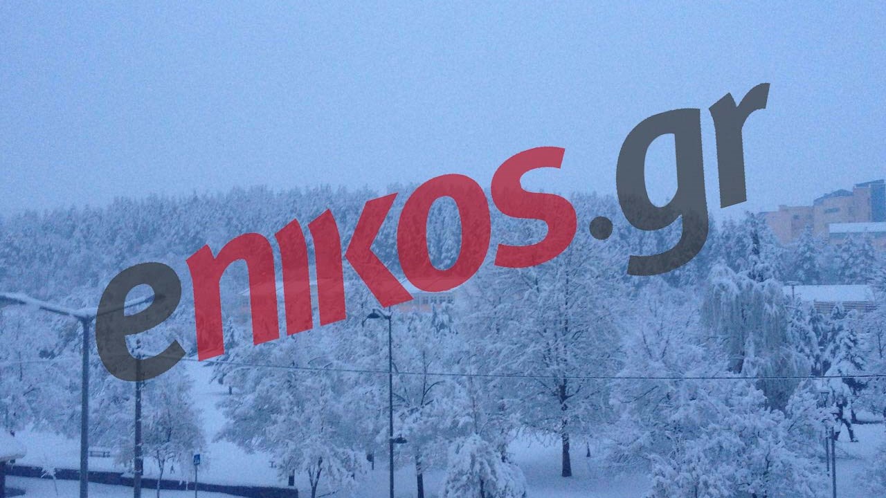 Στα λευκά “ντύθηκαν” τα Γρεβενά – ΦΩΤΟ αναγνώστη