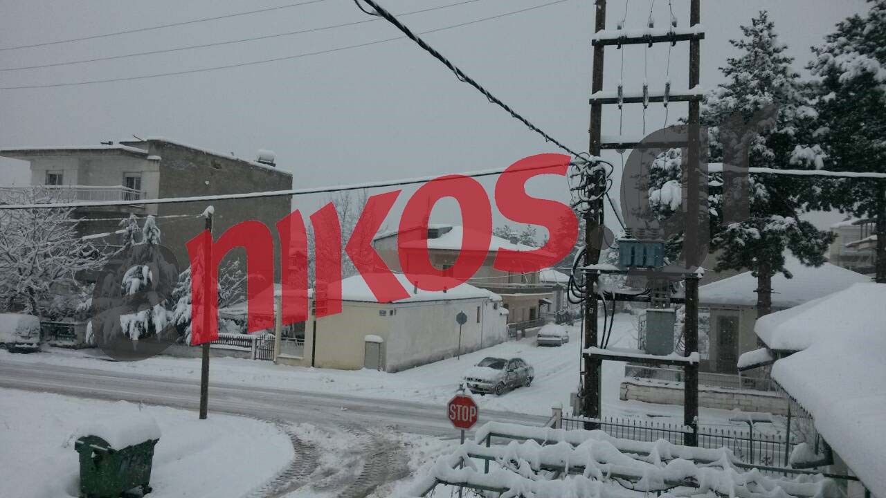 ΦΩΤΟ αναγνώστη από τη χιονισμένη Πτολεμαΐδα