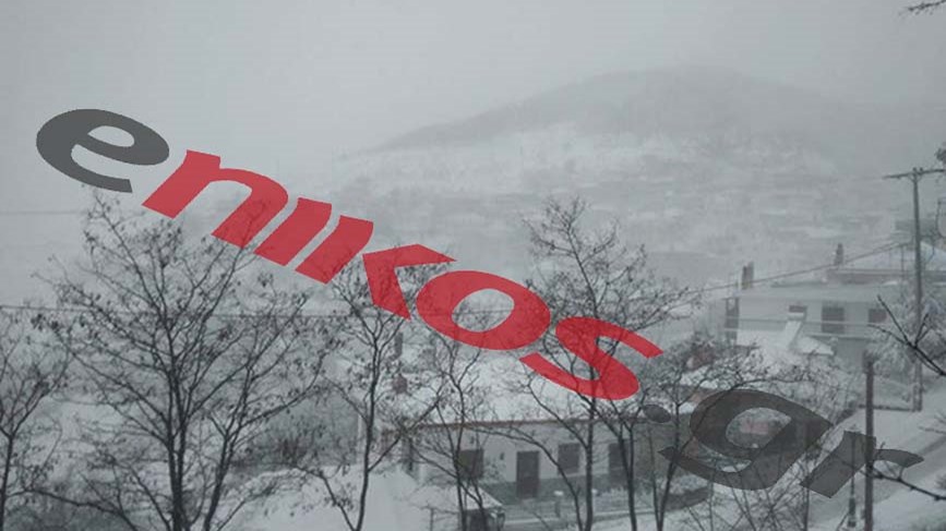 Σφοδρή χιονόπτωση στο Λιβάδι Ελασσόνας – ΦΩΤΟ αναγνώστη