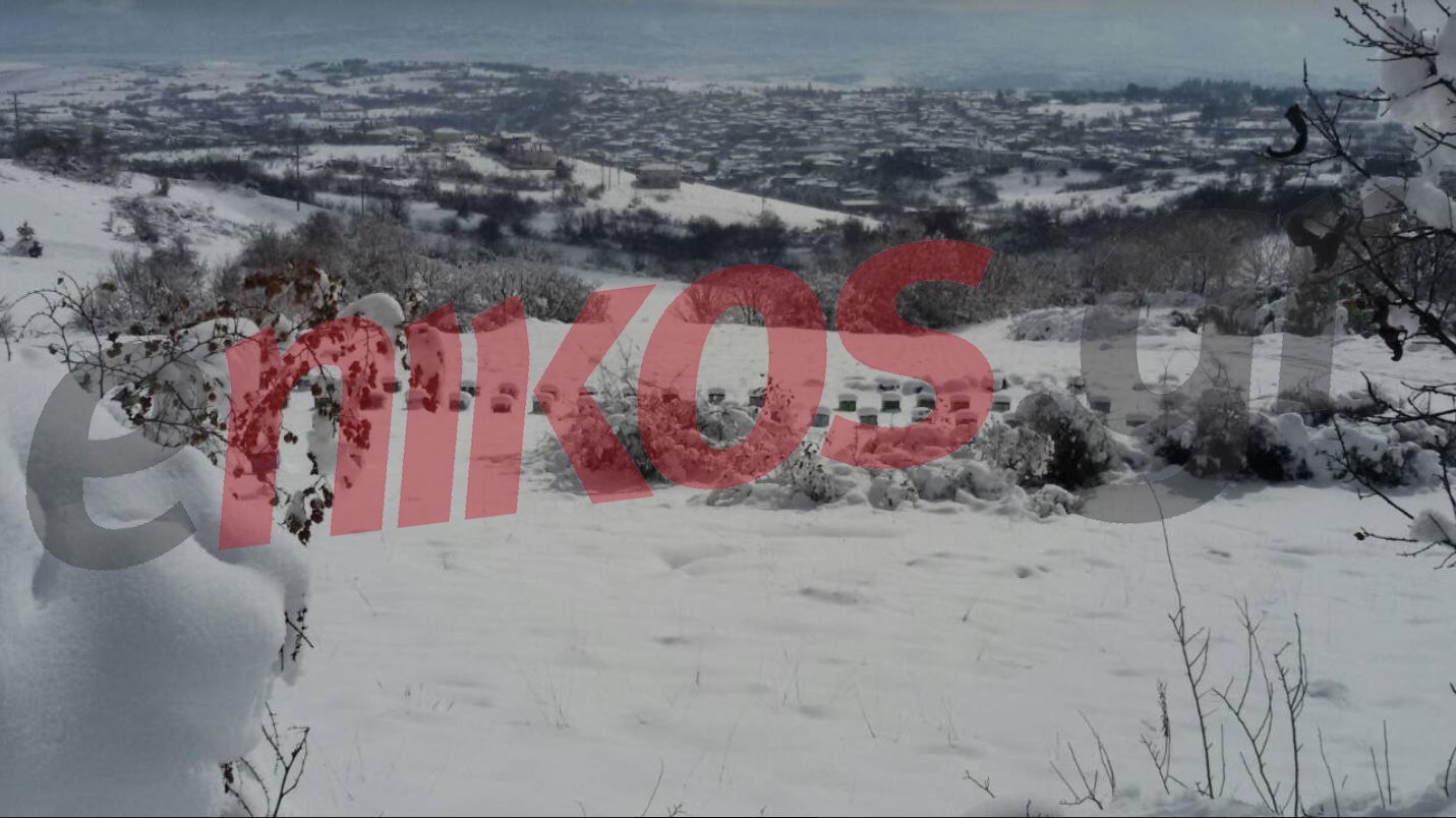 Η “Λητώ” σάρωσε τις Σέρρες – Σφοδρή χιονόπτωση – ΦΩΤΟ αναγνώστη