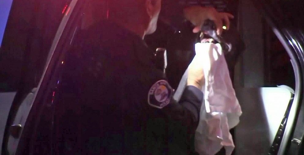 Σκύλος… ντετέκτιβ συνέλαβε τον ύποπτο αλλά του κόστισε έξι δόντια – ΒΙΝΤΕΟ