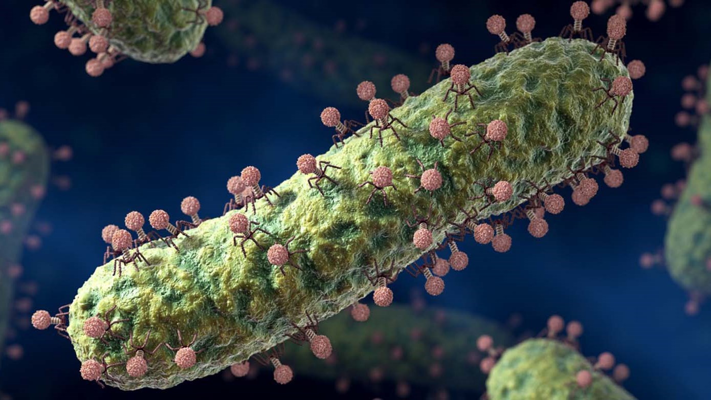 Ανακαλύφθηκαν δύο νέοι ιοί… γίγαντες!