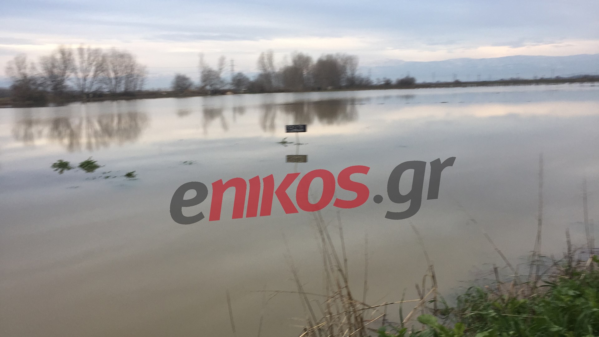 “Φούσκωσε” ο Πηνειός – Πλημμύρισαν τα χωράφια στο θεσσαλικό κάμπο – ΦΩΤΟ αναγνώστη