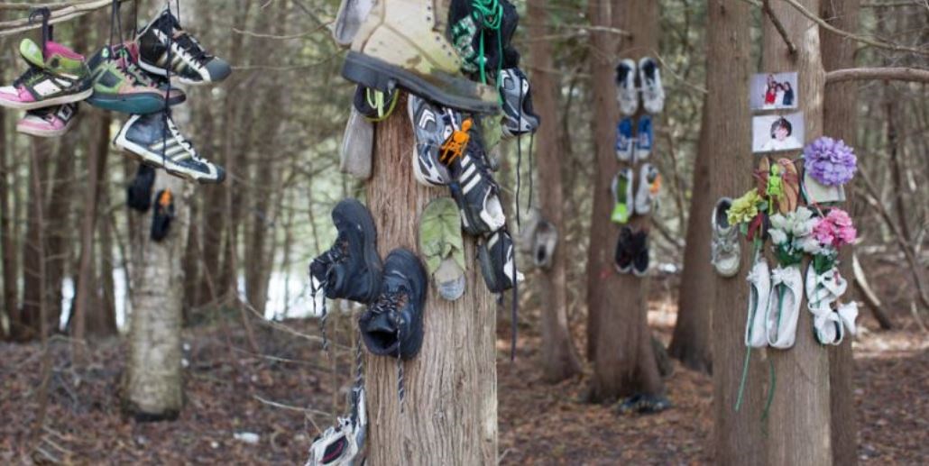 Ένα μυστηριώδες δάσος γεμάτο… παπούτσια – ΦΩΤΟ