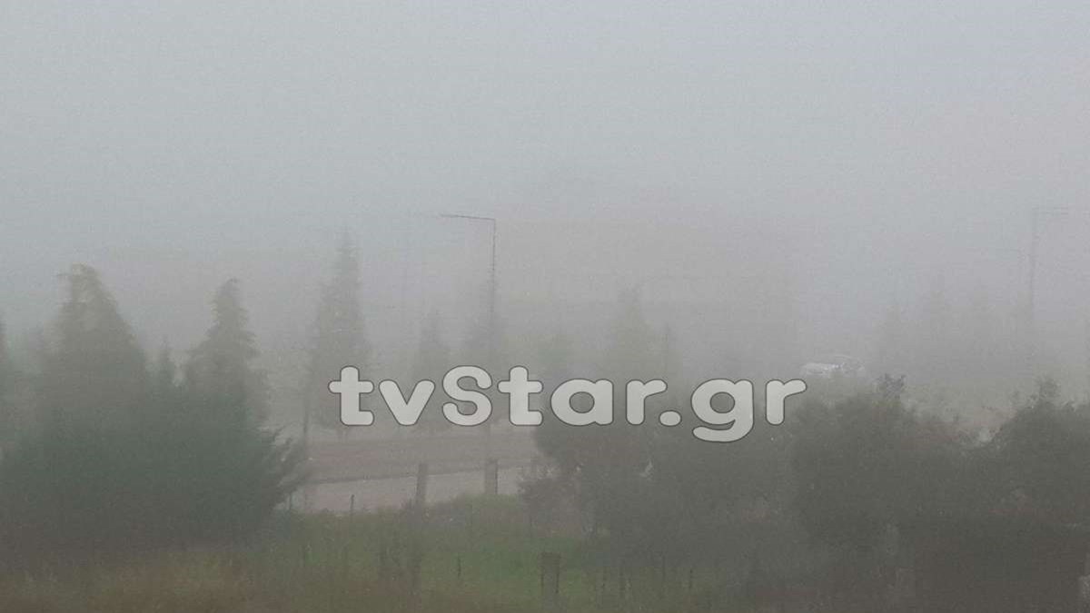 Πυκνή ομίχλη σκέπασε την Λαμία – ΦΩΤΟ – ΒΙΝΤΕΟ