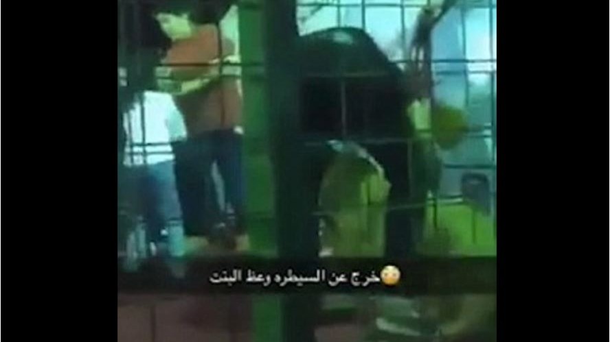 ΒΙΝΤΕΟ – ΣΟΚ: Λιοντάρι επιτίθεται σε κοριτσάκι