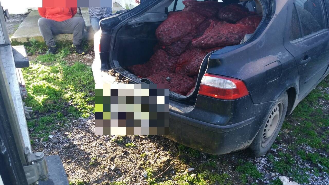 Κατασχέθηκαν 1.160 κιλά ακατάλληλα όστρακα – Τρεις συλλήψεις – ΦΩΤΟ