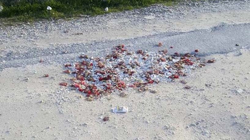 Ο “εργολάβος” είχε… ντέρτια: “Μπάλωσε” λακκούβες με… σπασμένα πιάτα και γαρύφαλλα από τα μπουζούκια