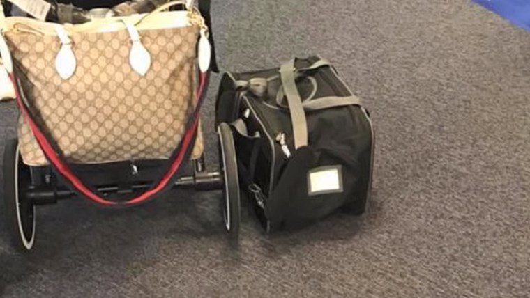 Πέθανε σκύλος που τον είχαν κλείσει στο ντουλαπάκι χειραποσκευών σε πτήση – ΒΙΝΤΕΟ