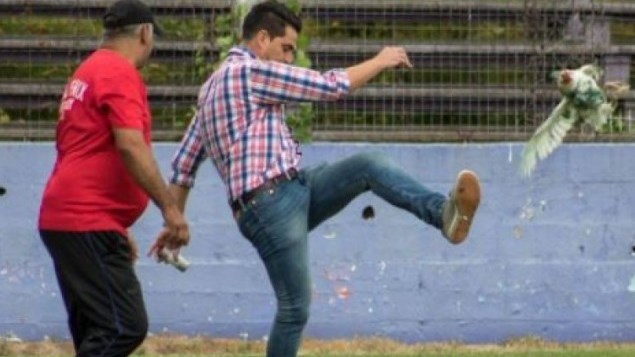 Παράγοντας ομάδας κλωτσάει….απρόσκλητη κότα μέσα στο γήπεδο και κινδυνεύει με τιμωρία – ΒΙΝΤΕΟ