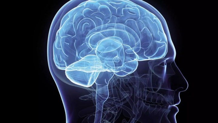 Εταιρεία υπόσχεται να κάνει “μπακ-απ” τον εγκέφαλο του ανθρώπου, αλλά πρέπει πρώτα να… σκοτώσει τον πελάτη της