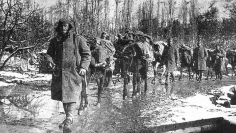 Ρίγη συγκίνησης – Βρέθηκαν τα οστά 108 Ελλήνων που έπεσαν στο Αλβανικό μέτωπο