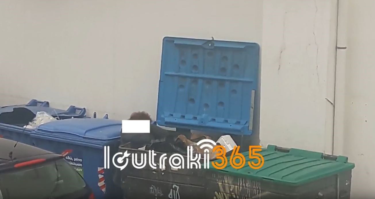 Εικόνες ΣΟΚ στο Λουτράκι – Ψάχνουν στα σκουπίδια για φαγητό – ΦΩΤΟ – ΒΙΝΤΕΟ