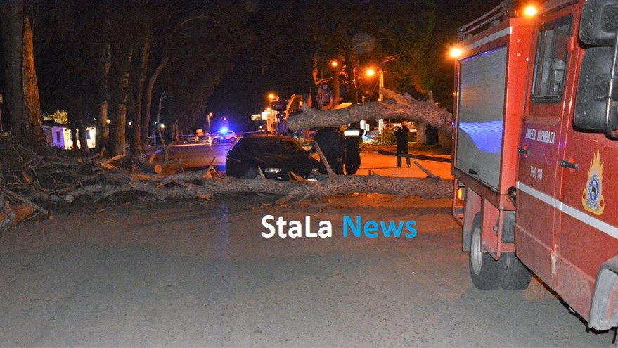 Χάος στο Ναύπλιο από τους θυελλώδεις ανέμους- Στο “πόδι” η πυροσβεστική- Δεκάδες δέντρα ξεριζώθηκαν- ΦΩΤΟ – ΒΙΝΤΕΟ