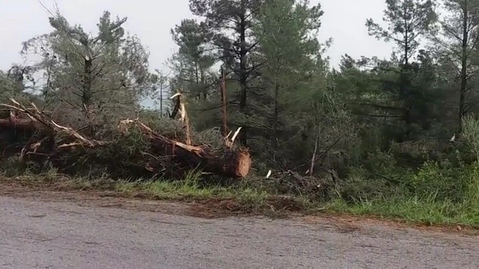 Θυελλώδεις άνεμοι “σάρωσαν” τη Χαλκιδική – Δύο τραυματίες από πτώση δέντρου – ΒΙΝΤΕΟ – ΦΩΤΟ