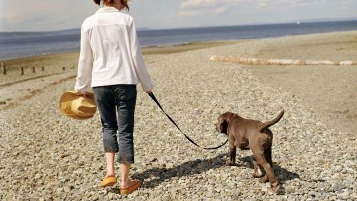 Οι Οικολόγοι Πράσινοι «αδειάζουν» τον Τσιρώνη – Αυτά είναι τα 14 «μελανά σημεία» του νομοσχεδίου για τα ζώα