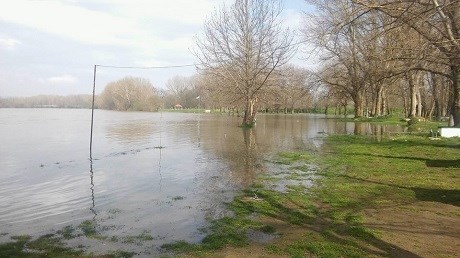 Συναγερμός στην Ορεστιάδα – Ανέβηκε επικίνδυνα η στάθμη του Έβρου και του Άρδα – ΦΩΤΟ ΚΑΙ ΒΙΝΤΕΟ