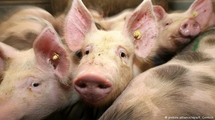 Η Κίνα περνά στην αντεπίθεση με δασμούς σε 128 αμερικανικά προϊόντα