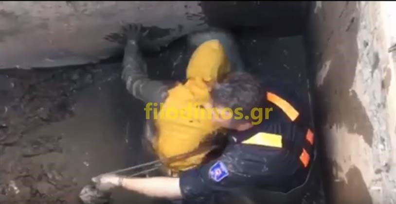 Ένα πρόβατο σήκωσε στο “πόδι” την πυροσβεστική – ΒΙΝΤΕΟ από την επιχείρηση για τον απεγκλωβισμό του