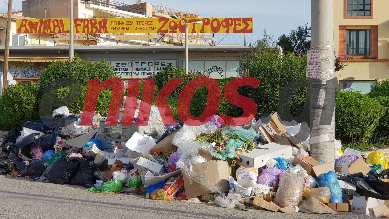 “Πνίγεται” στα σκουπίδια η Αιγιαλεία – Πότε ξεκινά η αποκομιδή- ΦΩΤΟ