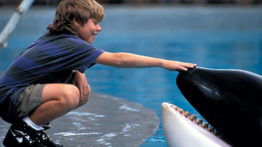 Δείτε πώς είναι σήμερα το παιδί από το “Free Willy” – ΦΩΤΟ