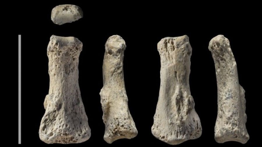 Βρέθηκε απολίθωμα του Homo sapiens ηλικίας 90.000 ετών