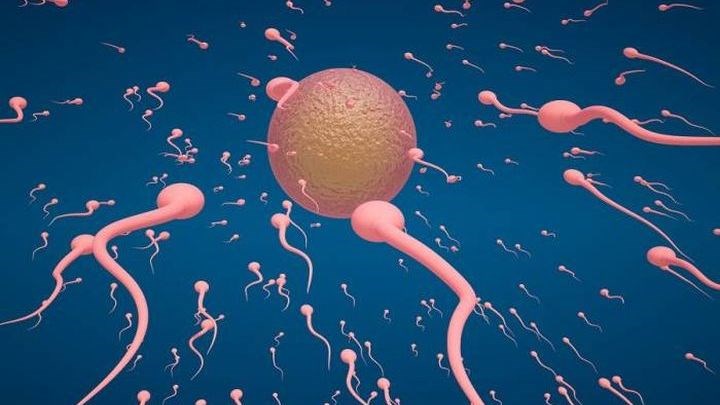 Επική αγγελία – Ζητούνται καλοί κομμουνιστές χωρίς φαλάκρα για δωρητές σπέρματος