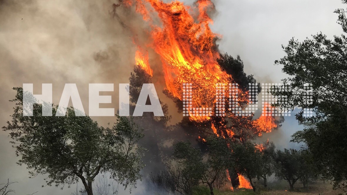 Μεγάλη φωτιά στην Ηλεία – Φόβοι για τον αρχαιολογικό χώρο της Αρχαίας Ολυμπίας