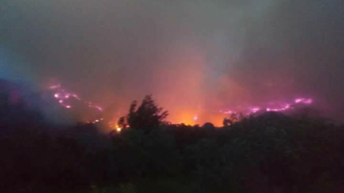 Πύρινη κόλαση στην Ηλεία: Φωτιές από την Ζαχάρω μέχρι την Ανδρίτσαινα – Οι ισχυροί άνεμοι ο εχθρός των πυροσβεστών
