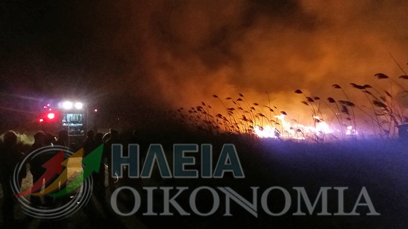 Νέα φωτιά στην περιοχή της Σπιάντζας, κοντά στον Πύργο – ΤΩΡΑ