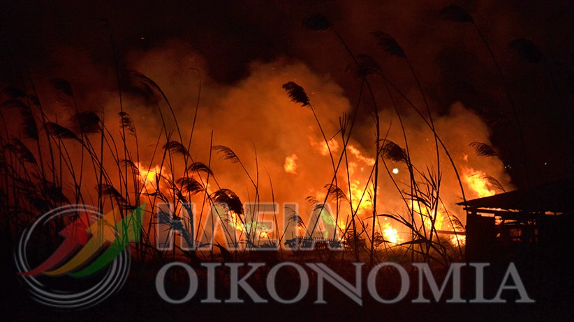 Σοκάρουν οι εικόνες από το νέο πύρινο μέτωπο στην Ηλεία – ΒΙΝΤΕΟ