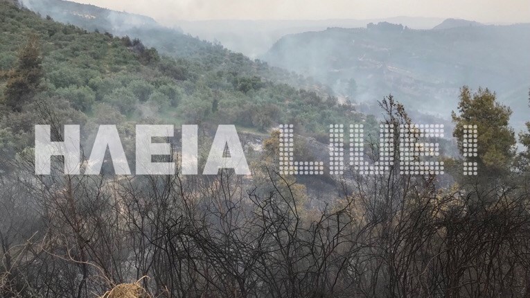Σε ύφεση τα πύρινα μέτωπα στην Ηλεία- Μάχη με τις αναζωπυρώσεις δίνουν οι πυροσβέστες- ΒΙΝΤΕΟ