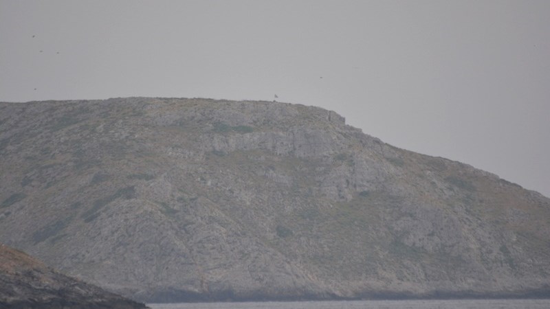 Φωτογραφίες – ντοκουμέντο από τη βραχονησίδα «Ανθρωποφάς»- Η ελληνική σημαία κυματίζει στον ιστό της