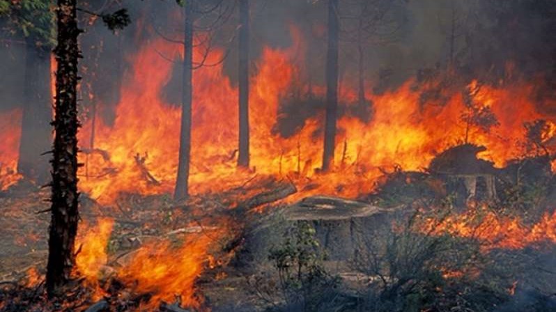 Συναγερμός στην Ανατολική Μάνη: Μεγάλη πυρκαγιά στον οικισμό Δίχοβα