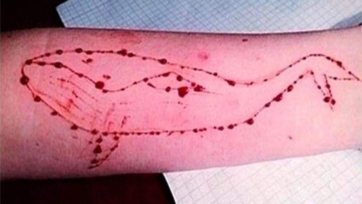 Παρέμβαση της εισαγγελίας Ηρακλείου για τη “Μπλε Φάλαινα”