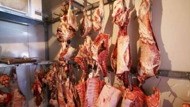 Σάλος στη Μάνη για τα δύο αδέλφια που απήγαγαν κρεοπώλη επειδή τους χρώσταγε 140.000 ευρώ