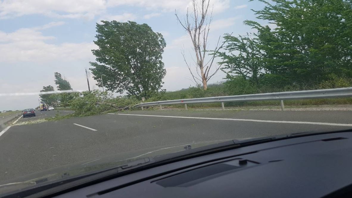 Άνεμοι “φονιάδες” – Ξεριζώθηκε δέντρο και καταπλάκωσε αυτοκίνητο στην Εγνατία Οδό – Νεκρός ο συνοδηγός – ΒΙΝΤΕΟ
