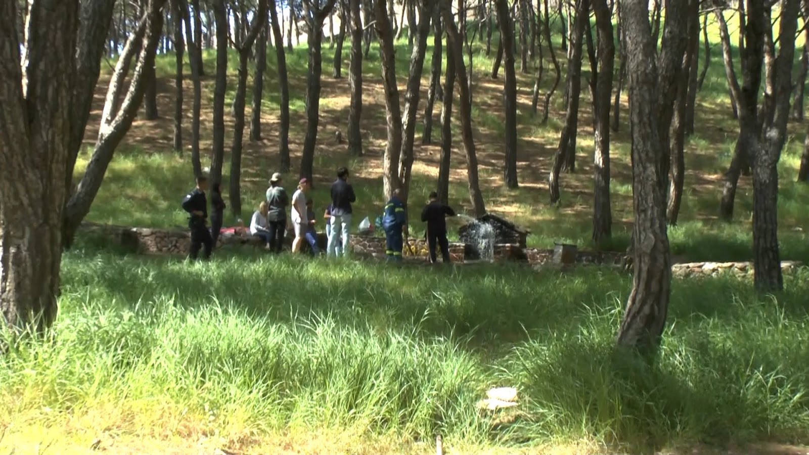 Λέσβος: Μετανάστες και αλληλέγγυοι πήγαν για… μπάρμπεκιου σε άλσος και έβαλαν φωτιά – ΦΩΤΟ