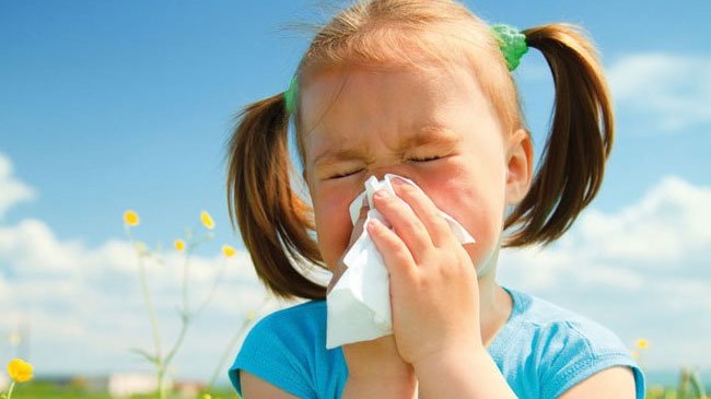 Σε έξαρση οι εποχικές αλλεργίες – Δείτε πώς θα τις αντιμετωπίσετε